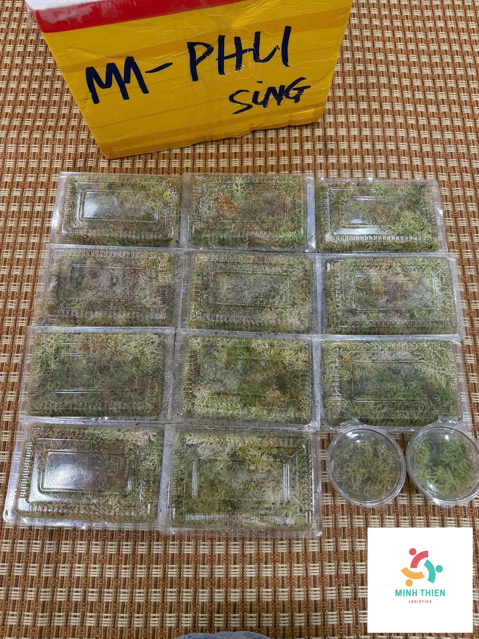 Gửi Hàng Đi Perth: Quy Định Hải Quan Và Bảng Giá Mới Nhất