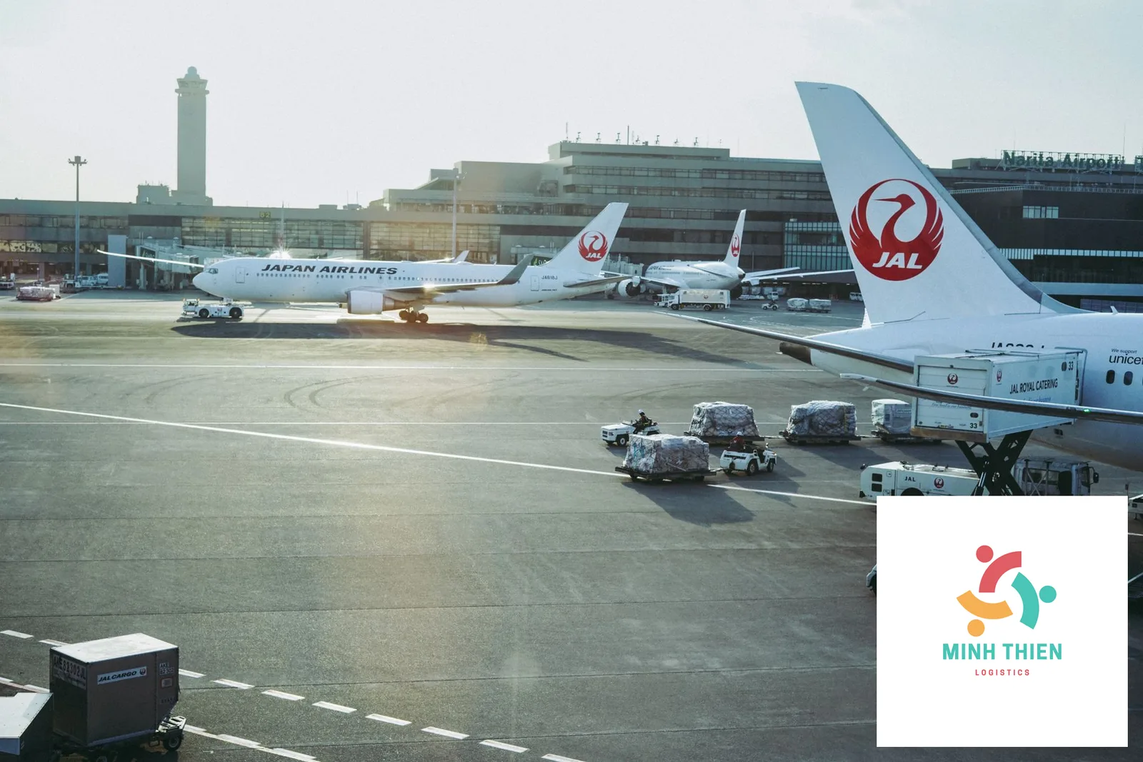 Gửi Hàng Đi Montreal: Thủ Tục Hải Quan CBSA Và Bảng Giá Mới Nhất
